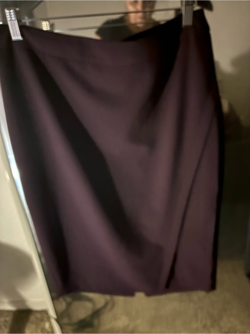 The Limited Pencil Skirt in Purple Size 6